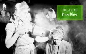 Head lice treatment from many, many years ago.