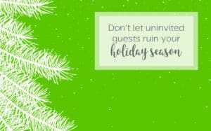 Don't let uninvited guests ruin your holiday season - be prepared with lice prevention products