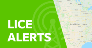 Half a map and half green background with Lice Alerts heading