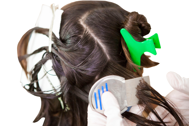 Lice clinics of america clinician combing through girls hair to remove dead head lice
